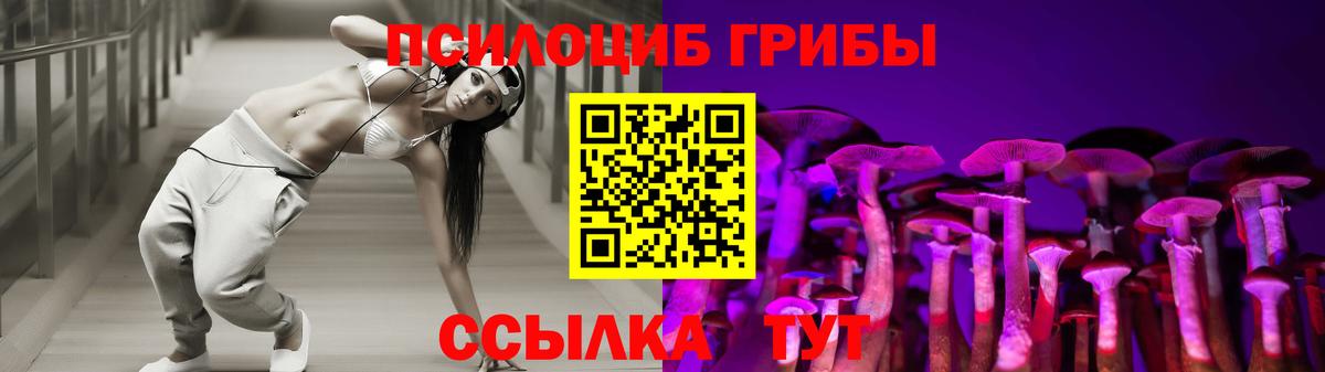 Подольск  Галлюциногенные грибы мицелий  Вход с VPN  как найти закладки  Псилоцибиновые грибы Cubensis 